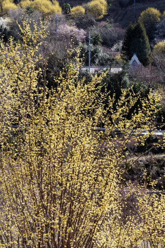 e0366896_23242165.jpg