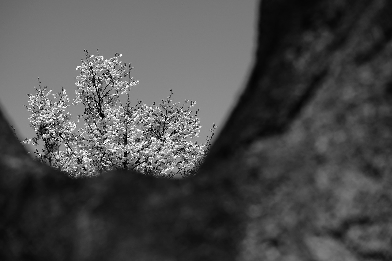 e0355004_18465476.jpg