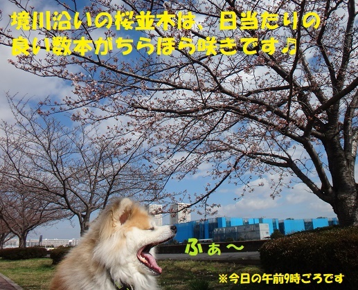 f0121712_14320855.jpg