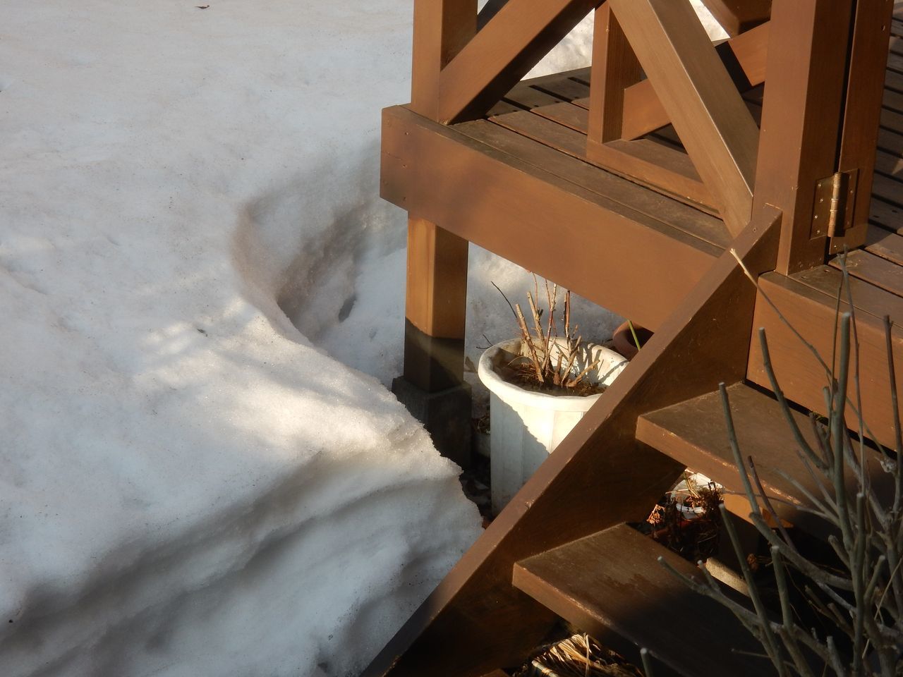 今年2度目の10℃越え_c0025115_20442720.jpg