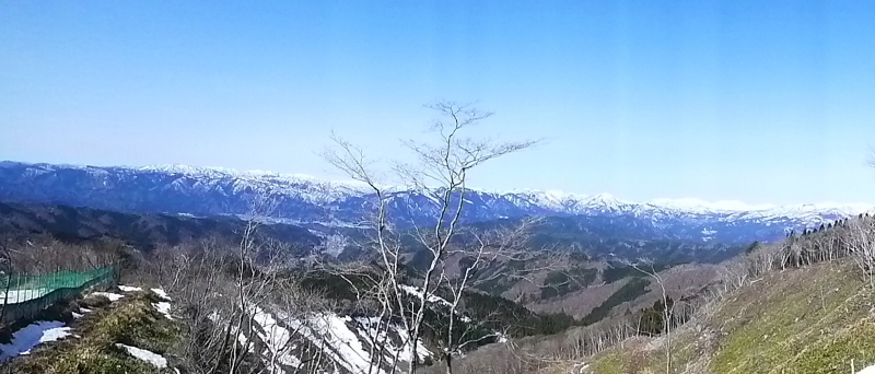 d0170615_21572611.jpg