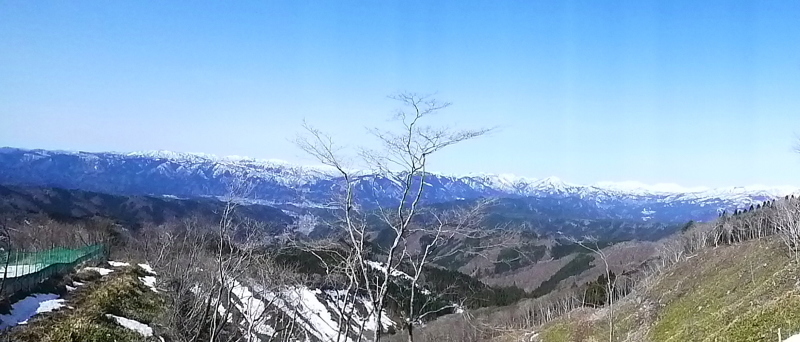 久しぶりに　雪の白尾山 (1,612.4M) に登る_d0170615_21572611.jpg