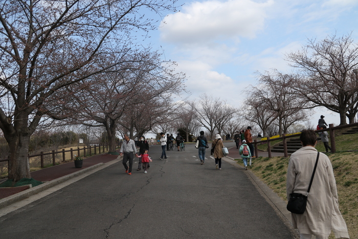 f0239515_2364871.jpg