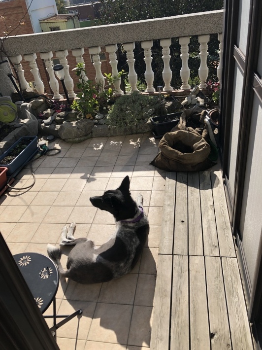 f0057324_09360122.jpeg