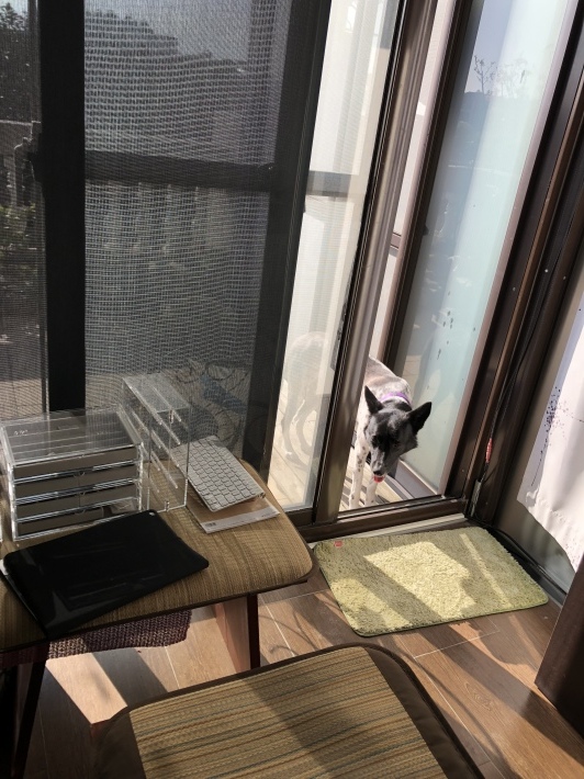 f0057324_09374104.jpeg