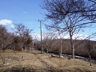 c0204725_1933533.jpg