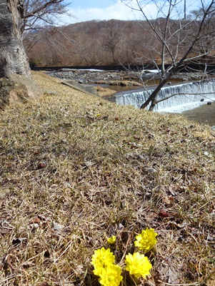 c0204725_19353855.jpg