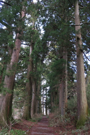 e0133025_21175151.jpg