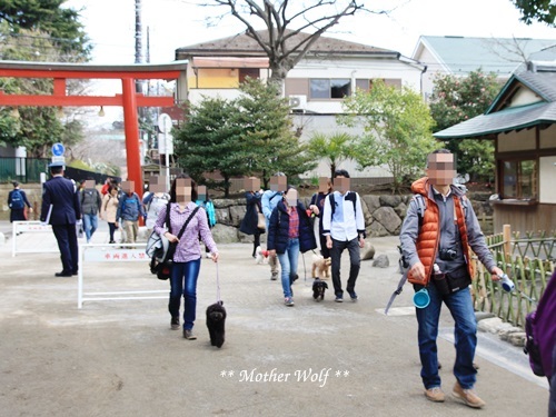 第24回マザーウルフ遠足 鎌倉天園レポート_e0191026_19463153.jpg