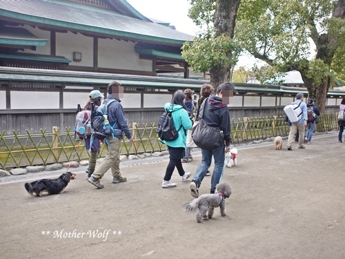 第24回マザーウルフ遠足 鎌倉天園レポート_e0191026_19485309.jpg
