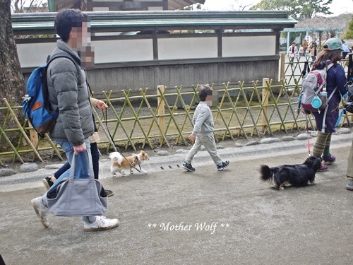 第24回マザーウルフ遠足 鎌倉天園レポート_e0191026_19512867.jpg