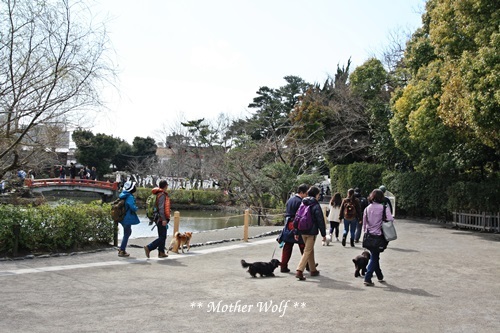 第24回マザーウルフ遠足 鎌倉天園レポート_e0191026_19540676.jpg