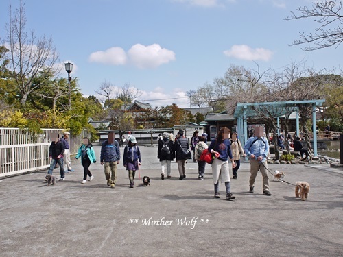 第24回マザーウルフ遠足 鎌倉天園レポート_e0191026_19544517.jpg