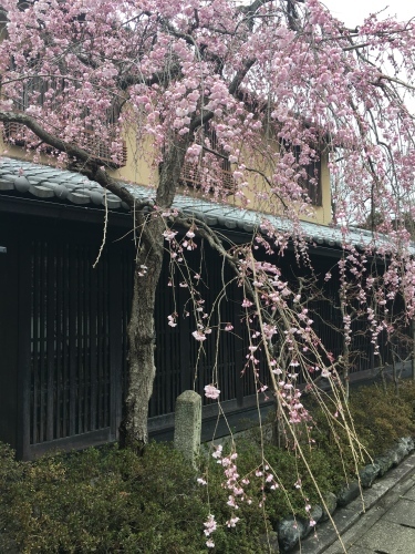 a0197730_10223488.jpg