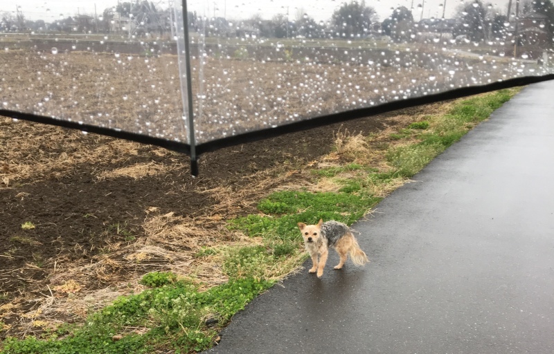 d0359930_00000194.jpeg