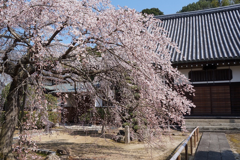 b0164533_212401.jpg