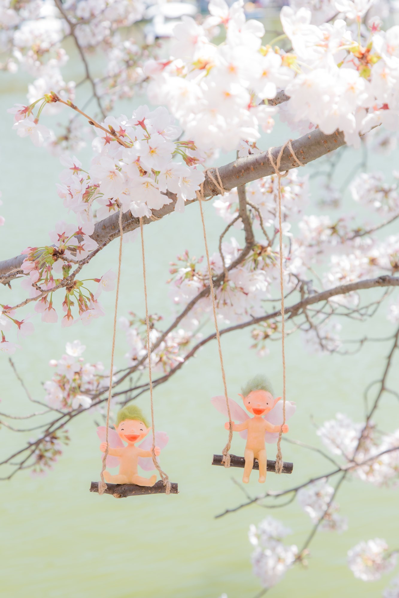 桜の妖精たち 図工舎 Zukosya Blog