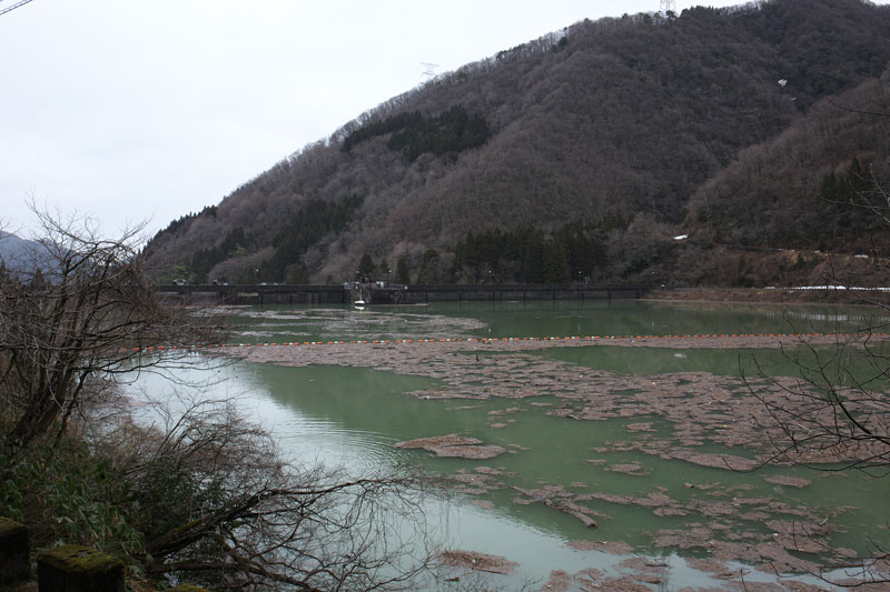 d0342652_1601875.jpg