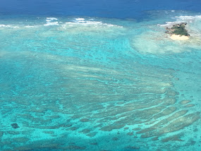 e0010856_127548.jpg