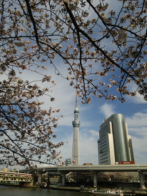 e0047657_2318976.jpg