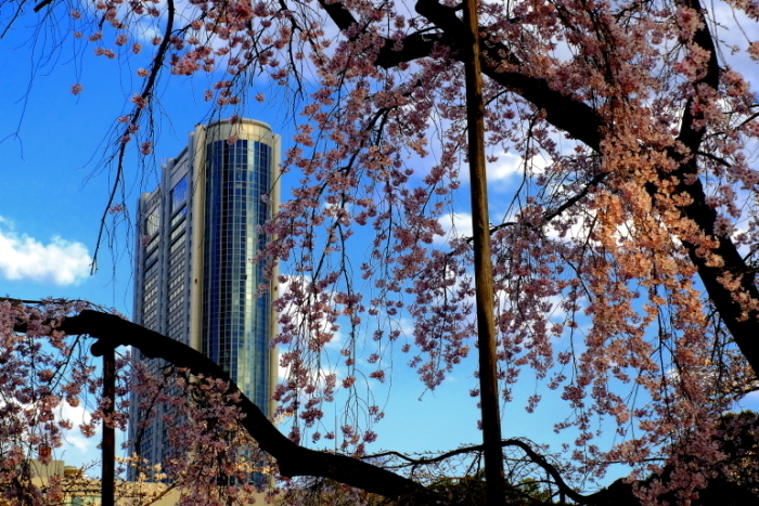 a0150260_16254535.jpg