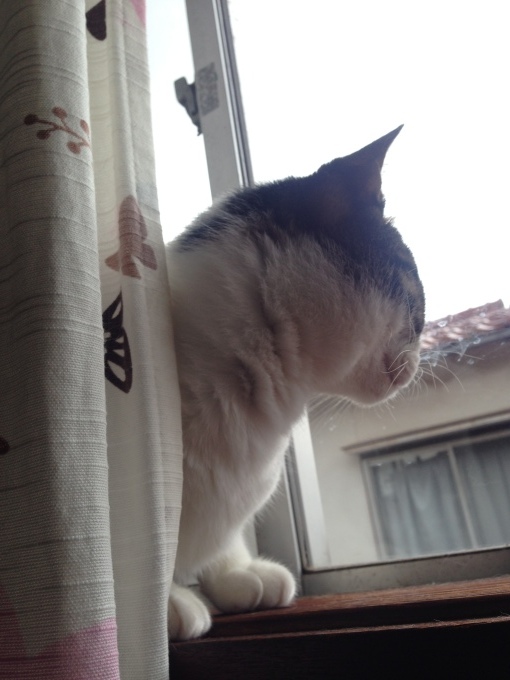 d0128864_16021926.jpeg