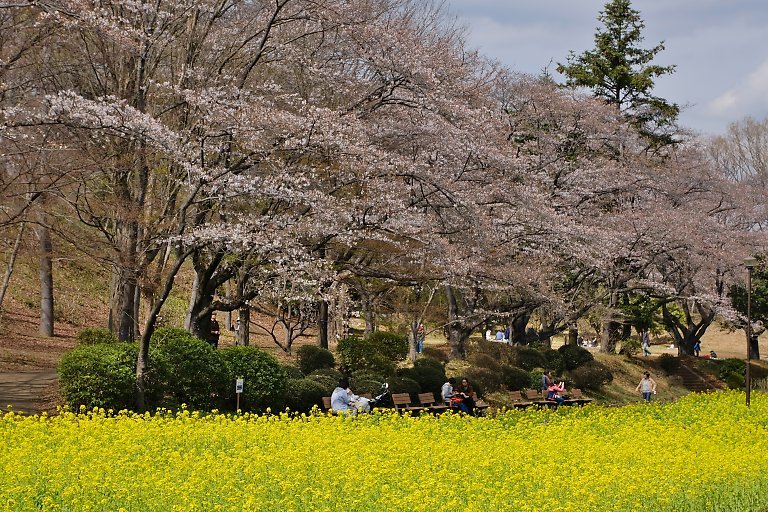 児童遊園地（３月２４日）_c0057265_19402742.jpg