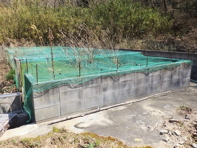 c0105569_01304874.jpg
