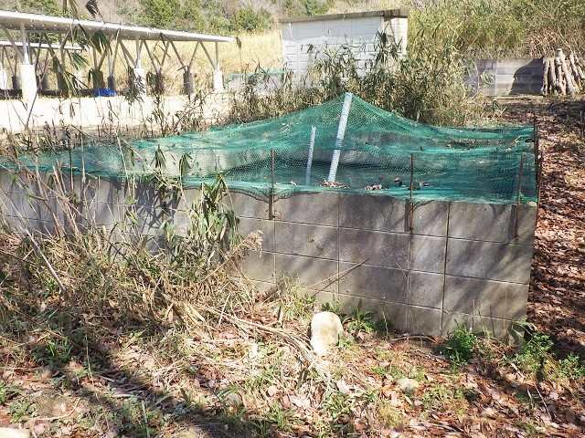 c0105569_01305843.jpg