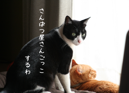a0216583_12355645.png