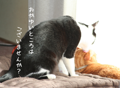 a0216583_12355988.png