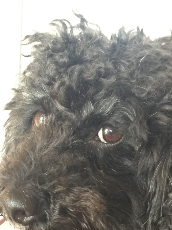 b0098584_22350713.jpeg