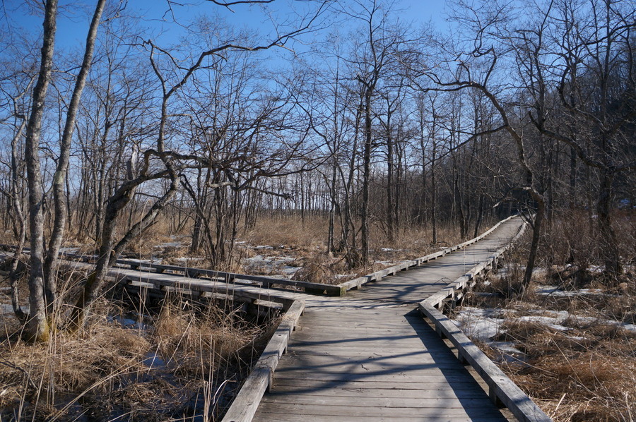 c0180686_06555812.jpg