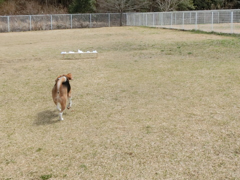 a0319693_1352562.jpg