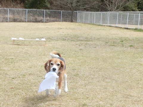 a0319693_13594765.jpg