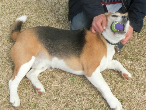 a0319693_148312.jpg