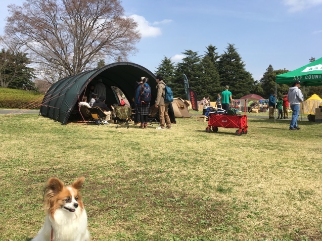 f0034602_06493555.jpeg