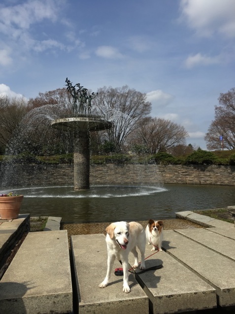 f0034602_06505980.jpeg