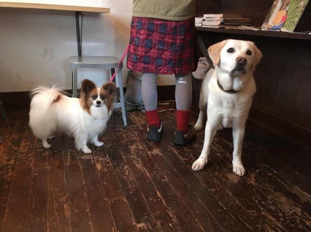 f0034602_06552743.jpeg