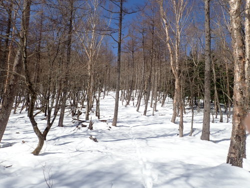 d0342206_19111927.jpg