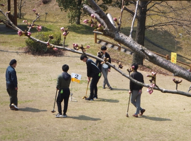 小松中央公園の桜です_f0231708_21192434.jpg