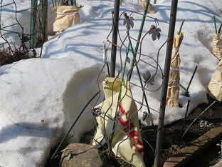 f0325309_11072514.jpg