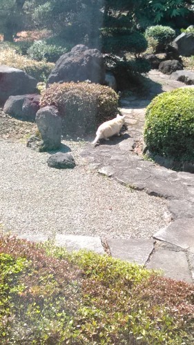 f0333709_11235271.jpg