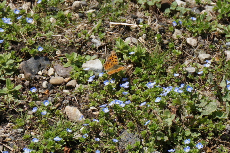 d0359010_23135837.jpg