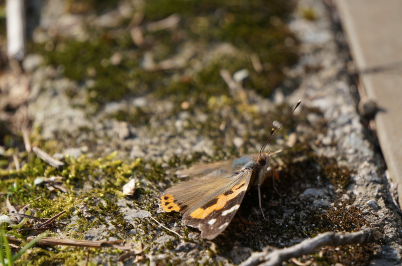 d0359010_23173830.jpg