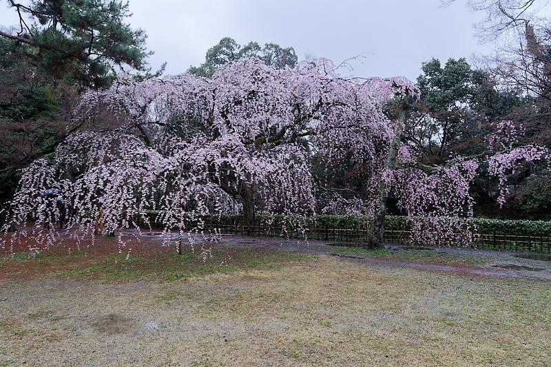 f0032011_17491427.jpg