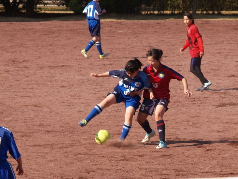 f0375011_23244430.jpg