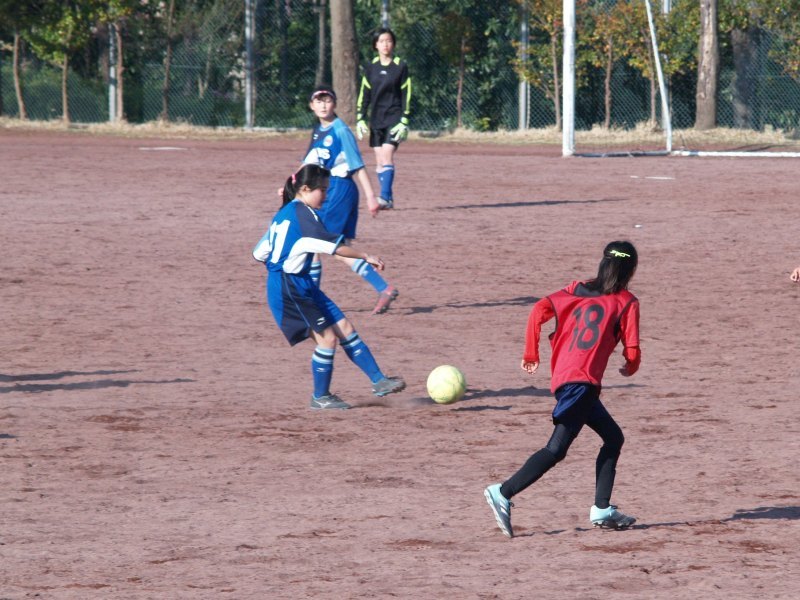 f0375011_23250377.jpg