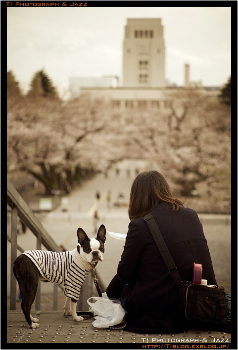 東工大の桜 Part 2_b0134013_21352058.jpg