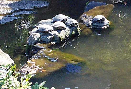 c0009413_15553845.jpg